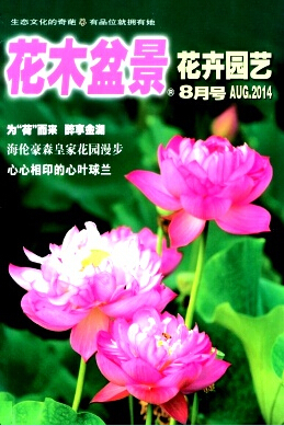 普刊論文發表指南 以《花木盆景》為例